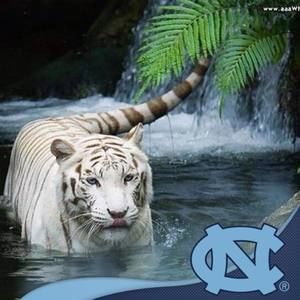 Meet your Posher, Troy